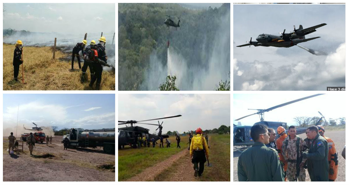 Controlados y liquidados tres incendios forestales en Guaviare, Meta y Vichada